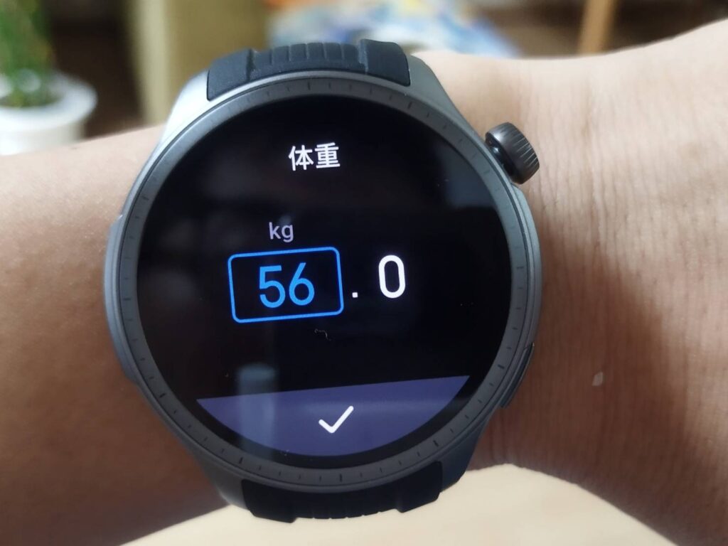 体組成 体重入力