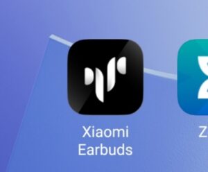 アプリ Xiaomi Earbuds