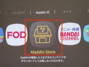 Aladdin Store